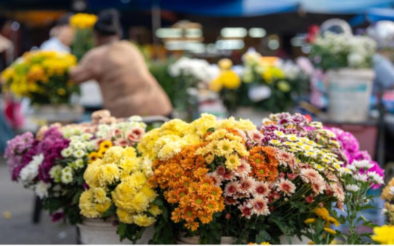 Affordable Flower Bouquets Where to Get High Quality Cheap Floral Arrangements