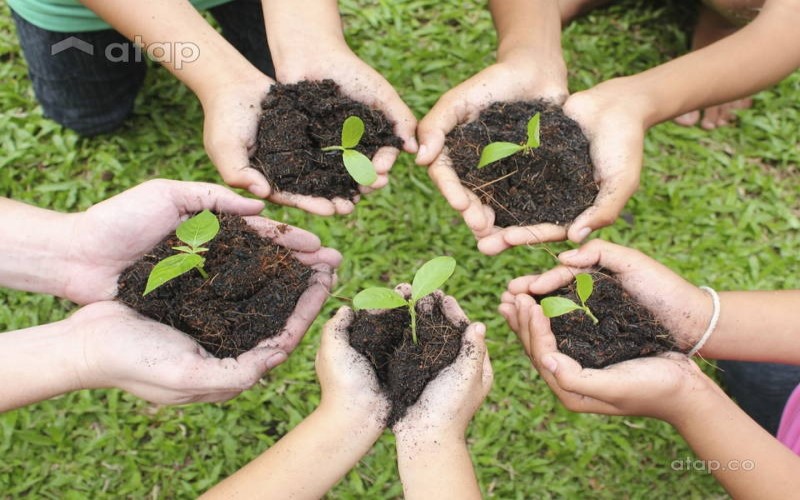 Fruitful Gardens for Urban Homes