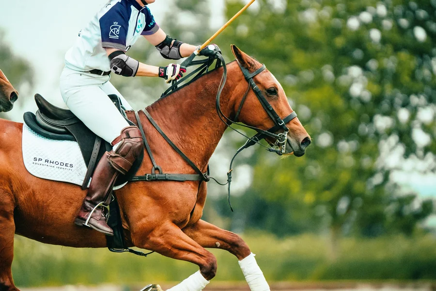 How to Expand Business Network Through Hobby: Horse Polo