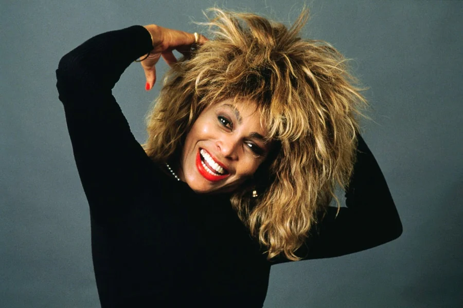 Tina Turner Net Worth