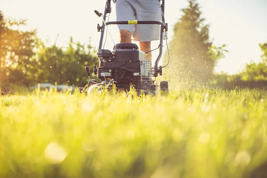 Why Your Lawn Never Looks Finished After You Cut It