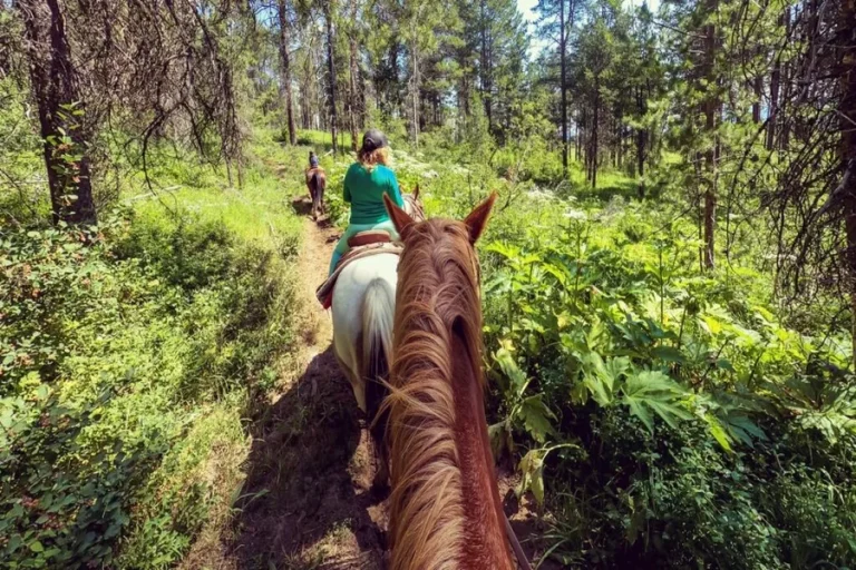 Why Horseback Riding Is One of the Best Ways to Experience Nature