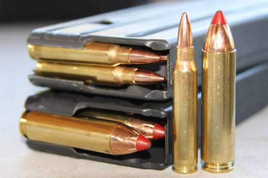 ATI 450 Bushmaster 10 Round Magazine Features and Guide