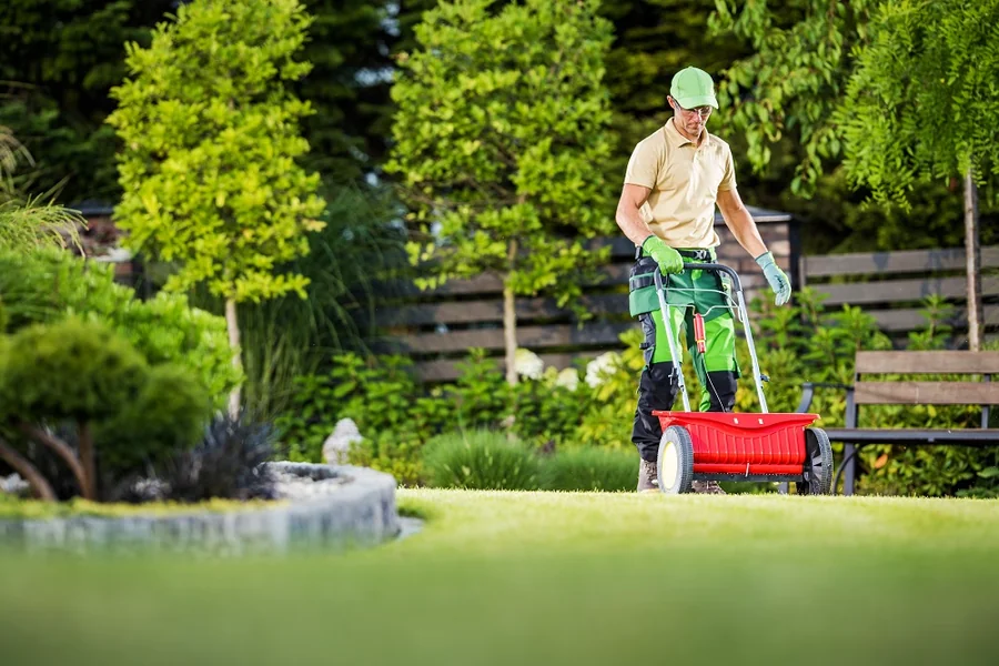 Lawn Care and Maintenance Tips for Long-Term Results