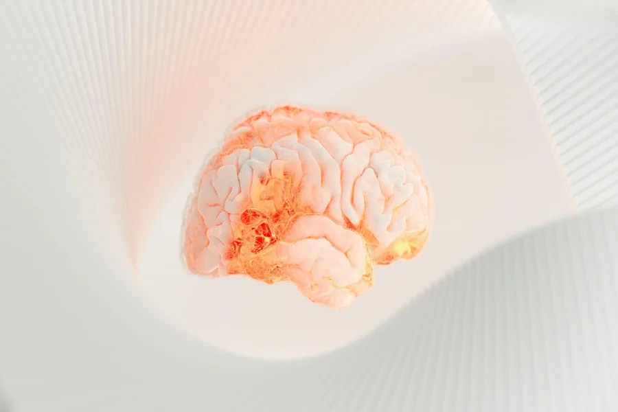 Memory Care and Alzheimer's Support What Families Need to Understand