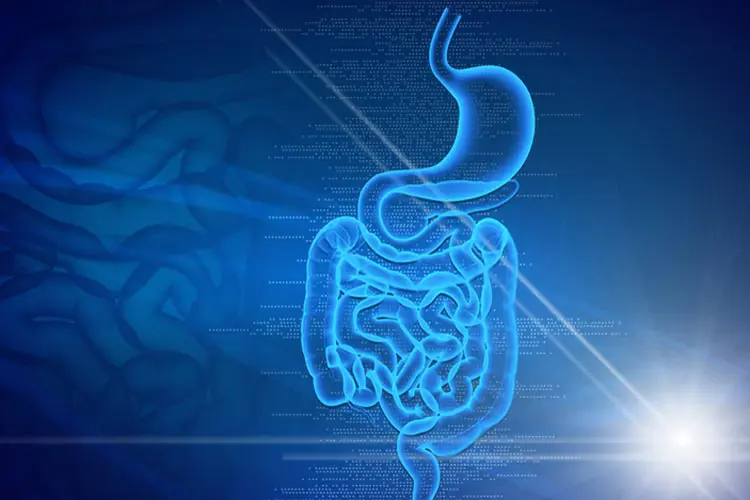Understanding How HCl Helps Digest Proteins: A Step-by-Step Breakdown