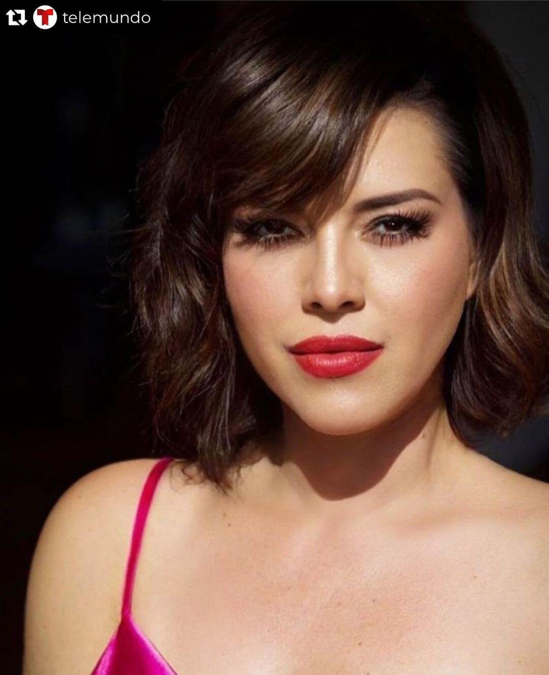 Alicia Machado Photos, Alicia Machado Birth, Alicia Machado Early Life, Alicia Machado Career, Alicia Machado Controversy, Alicia Machado Breast Cancer, Participation in Politics, Alicia Machado's Net Worth, Alicia Machado On Social Media